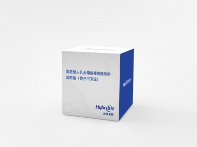 高危型人乳頭瘤病毒核酸檢測(cè)試劑盒（熒光PCR法）